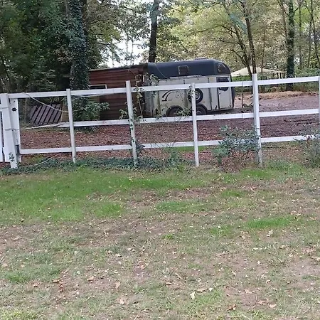 Cabane * Saint-Vincent-de-Paul (Landes)