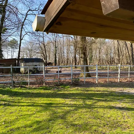 Chalet Cabane