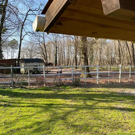 Cabane * Saint-Vincent-de-Paul (Landes)