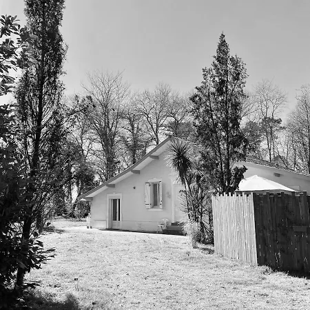 Chalet Cabane Saint-Vincent-de-Paul (Landes)