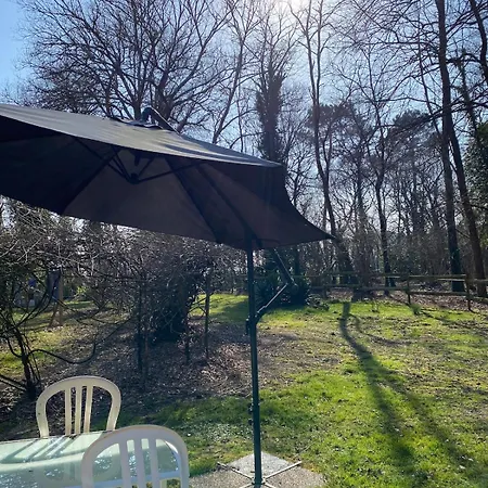 Chalet Cabane Saint-Vincent-de-Paul (Landes)