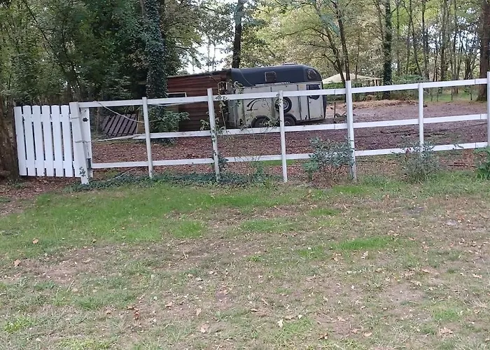 Cabane * Saint-Vincent-de-Paul (Landes)