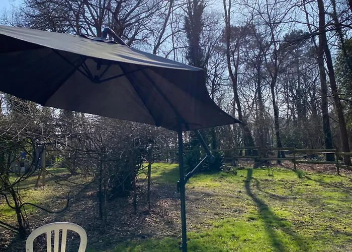 Cabane * Saint-Vincent-de-Paul (Landes)