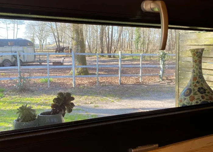 Cabane Saint-Vincent-de-Paul (Landes)