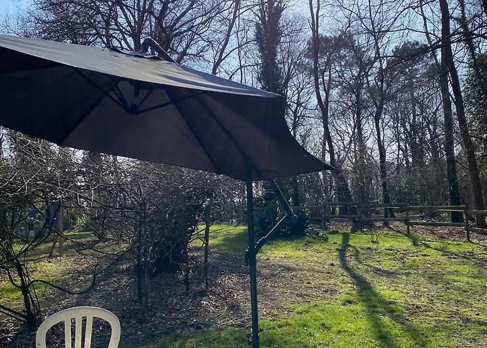 Chalet Cabane Saint-Vincent-de-Paul (Landes)