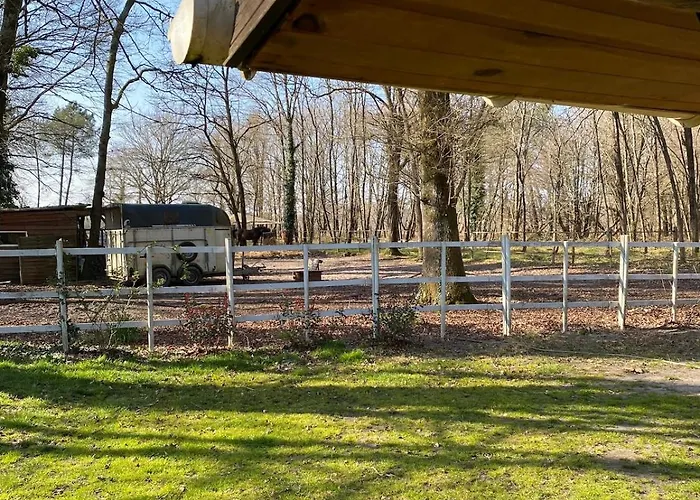 Chalet Cabane Saint-Vincent-de-Paul (Landes)