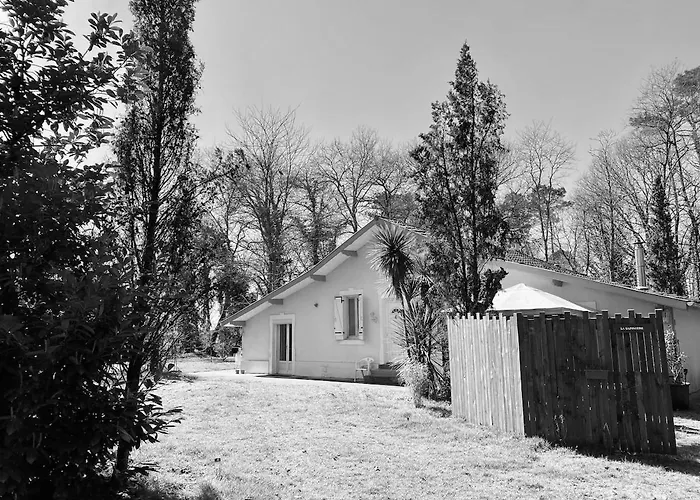 Chalet Cabane Saint-Vincent-de-Paul (Landes)